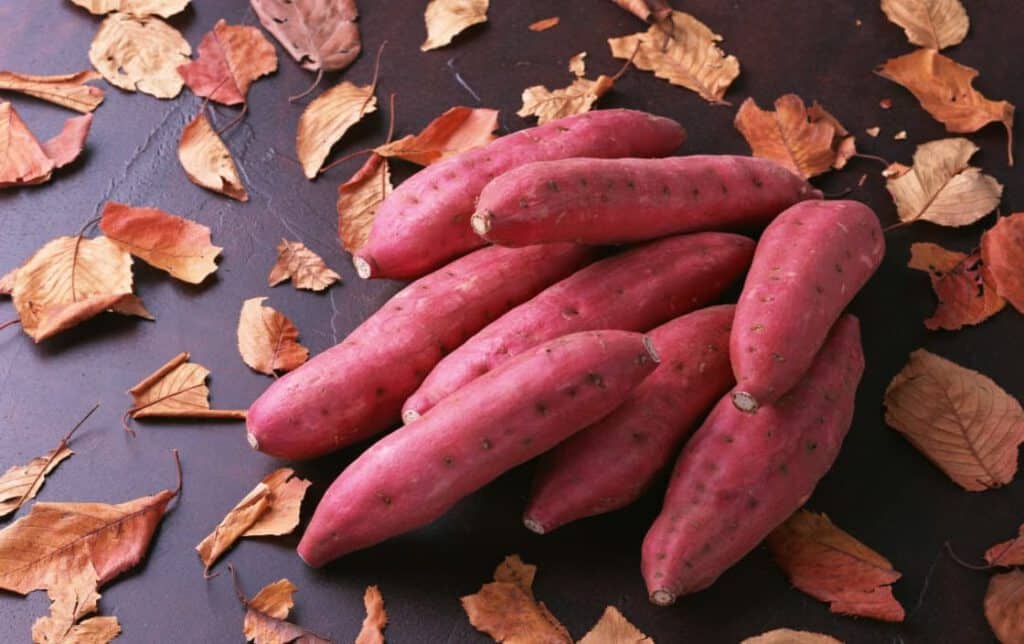 Làm đẹp với khoai lang